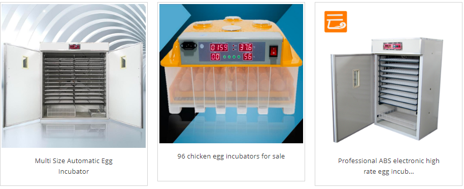 YUNBOSHI TECHNOLOGY Pakub automaatset munainkubaatorit